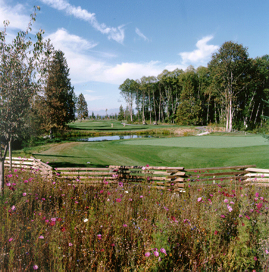 Golf fence picture