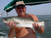 Nice Striper